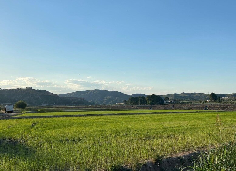 A rural landscape with green fields, a white van, and rolling hills in the background. 1