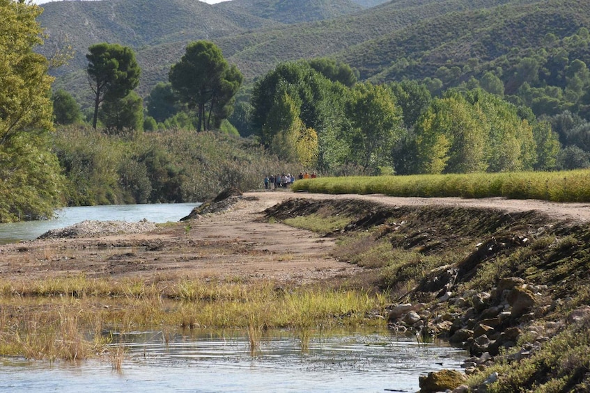 A riverbank with a group of people walking along a dirt path, surrounded by greenery and hills. 3