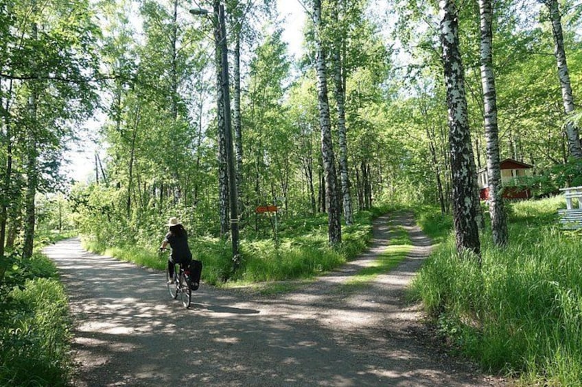 A person riding a bicycle on a forest path. 3