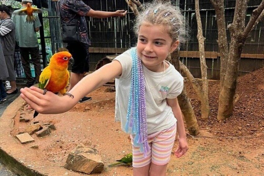 A child holding a colorful parrot. 4