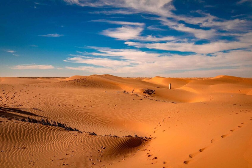 A desert landscape with sand dunes and a clear sky. 5