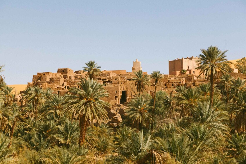 A desert landscape with palm trees and ancient stone buildings. 2