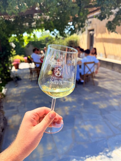 Picture 10 for Activity Etna Sud: Wine Tasting in the 1790 Palmento and Visit to the Cantina Lavica 2