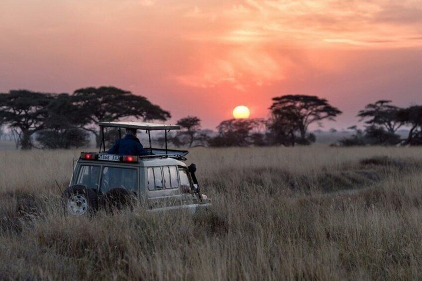 En safaribil i en græsmark med solnedgang i baggrunden. 4