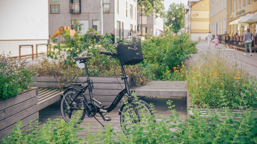 A bicycle parked on a wooden boardwalk with greenery and buildings in the background. 1