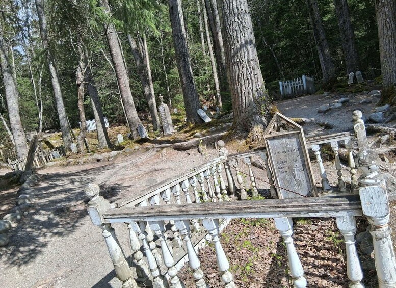 A forested cemetery with headstones and a wooden staircase. 2