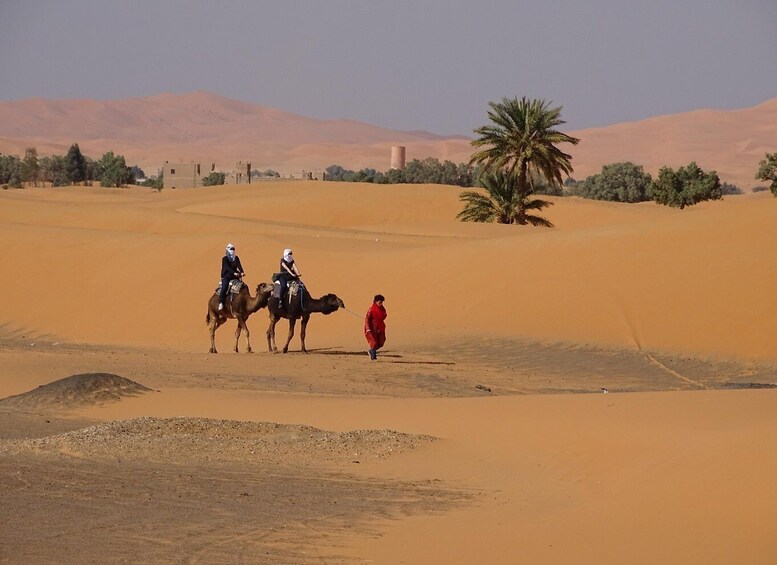 A desert landscape with sand dunes, a camel caravan, and sparse vegetation. 2