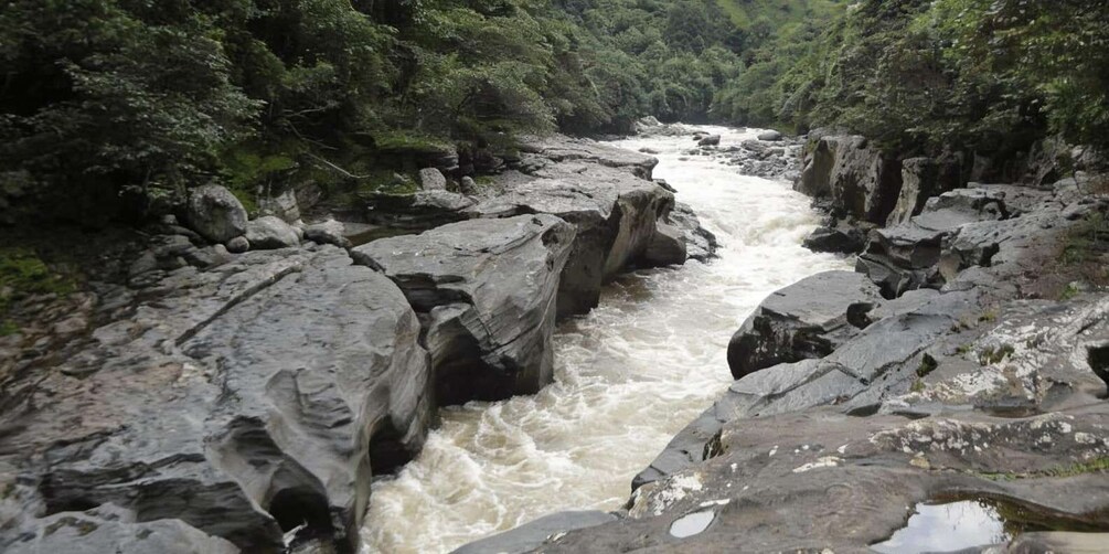 A river flowing through a rocky gorge surrounded by dense forest. 5