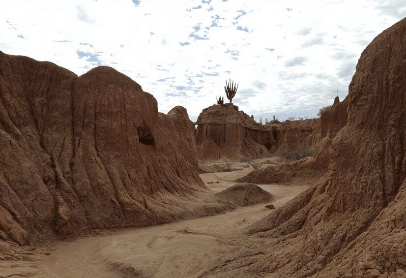 A desert landscape with eroded rock formations and a narrow path. 4