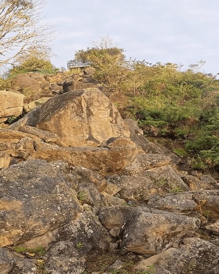 A rocky landscape with a large boulder and a bridge in the background. 2