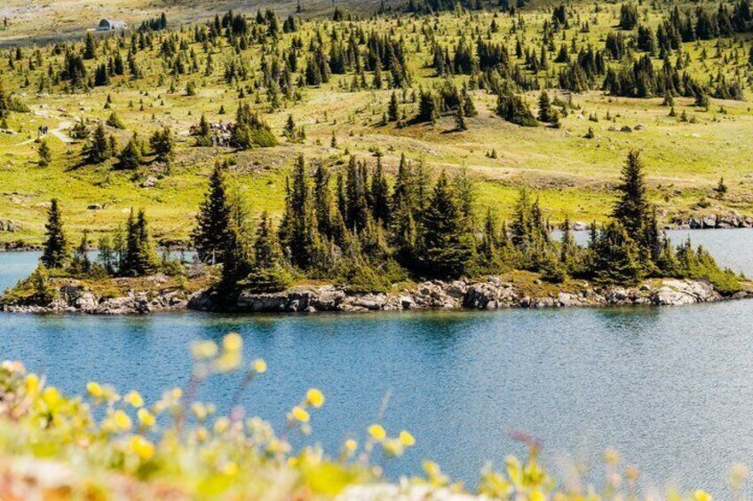 Un lago rodeado por una ladera boscosa. 4