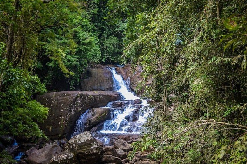 Kanneliya Rainforest Trek from Galle 3