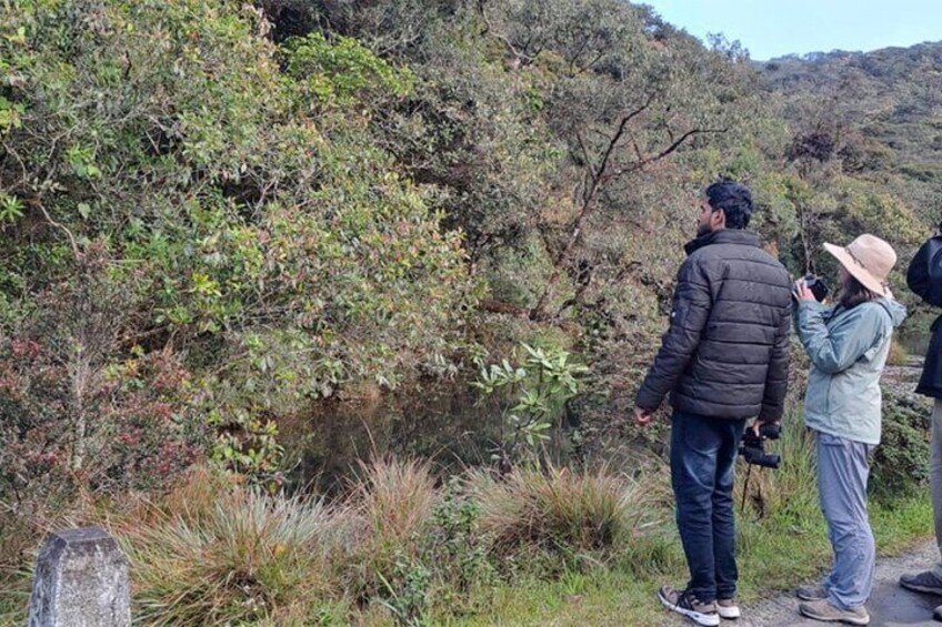A group of people standing on a path in a forested area with dense vegetation and a body of water in the background. 1