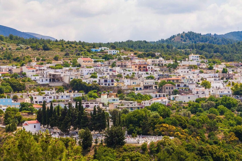 A densely populated hillside town with buildings, greenery, and a cemetery. 5