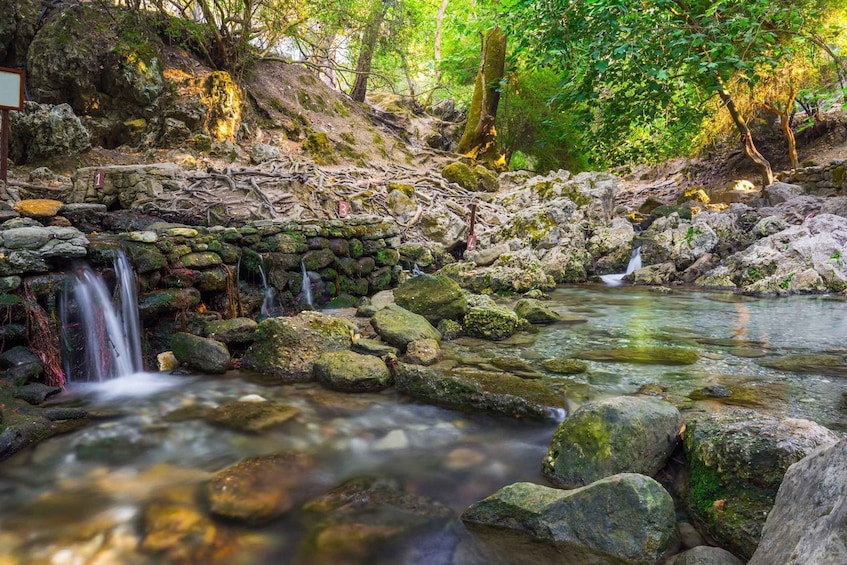A natural stream with a stone wall, moss-covered rocks, and a forested area. 2