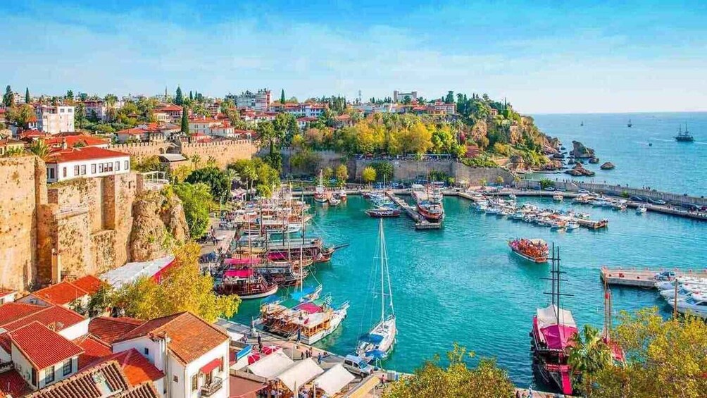 A coastal town with historic buildings, a harbor with boats, and a hillside with trees. 1