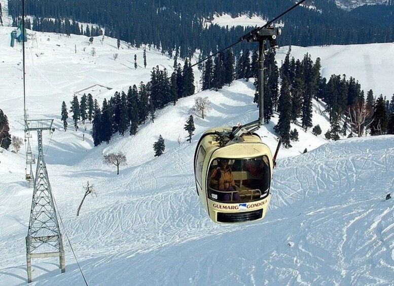Un teleférico con la etiqueta 'Gulmarg Gondola' suspendido sobre un paisaje montañoso nevado, con árboles y una torre de tendido eléctrico. 3
