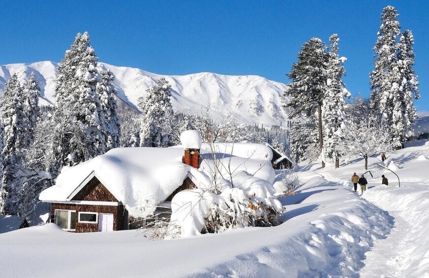 Una cabaña cubierta de nieve bajo un cielo azul despejado y árboles nevados en una zona montañosa. 1