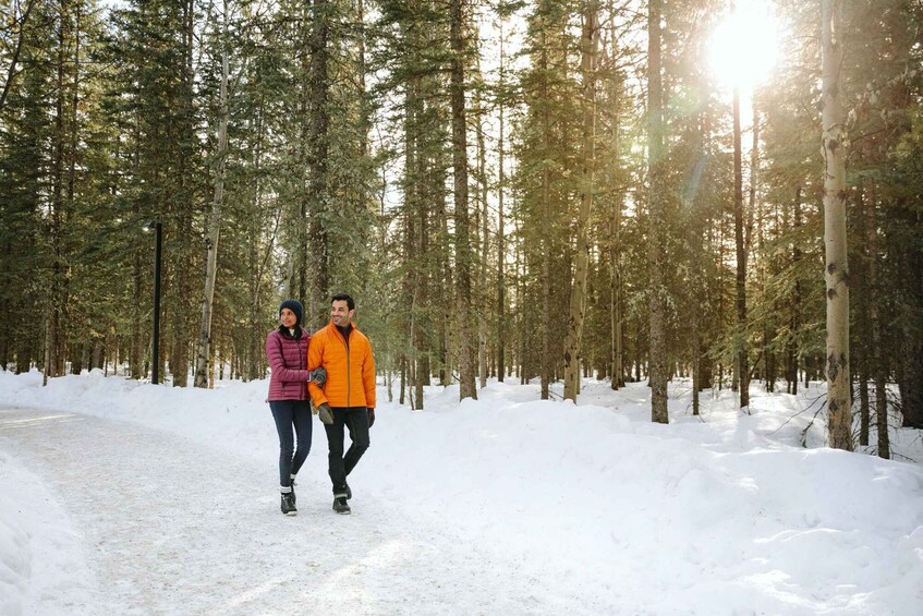 A snowy forest path with tall trees and a clear sky. 1