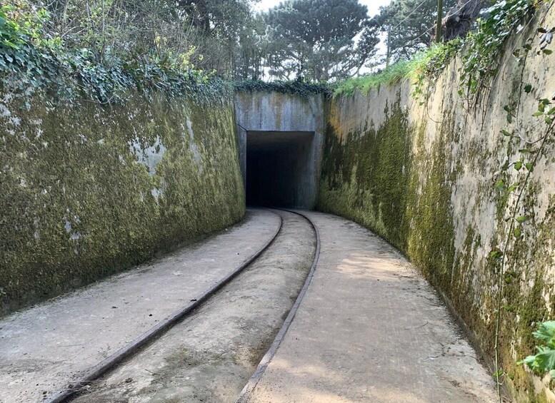 A railway track leading into a tunnel surrounded by vegetation. 1