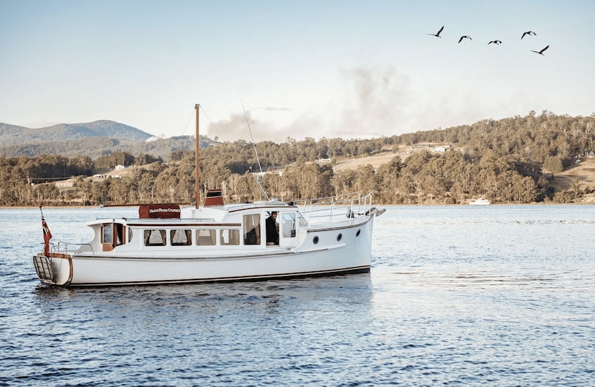 A white boat named 'Huron River Cruises' on calm water with a forested hillside in the background. 3