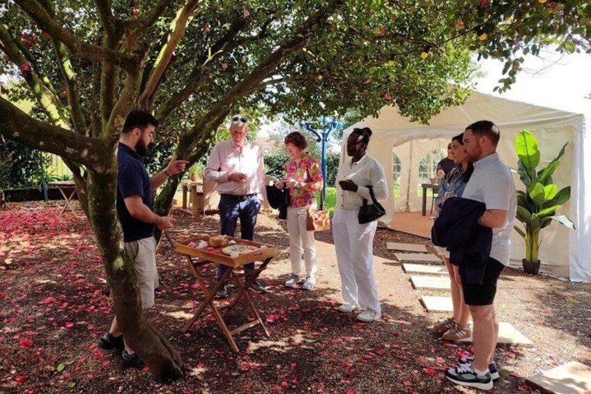 Douro Valley Prime Tour: Tastings, Private Boat & Lunch f/ Porto 3