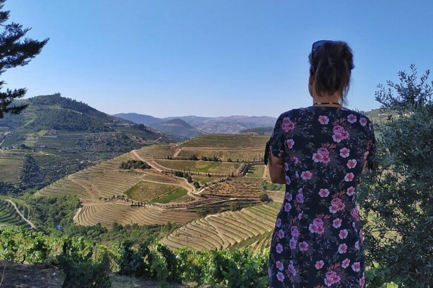 A person overlooking a vineyard with terraced fields and distant hills. 2