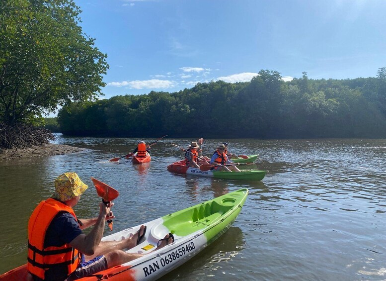 People kayaking on a calm river surrounded by trees. 4