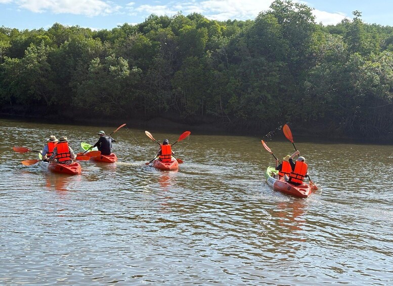 Four kayakers in red kayaks on a calm river, surrounded by dense forest. 5