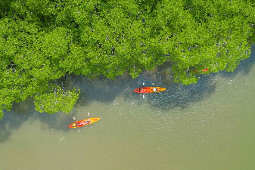 Two kayaks on a calm river surrounded by dense green foliage. 3