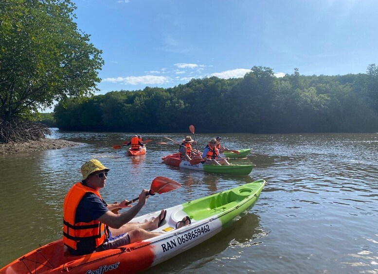 People kayaking on a river surrounded by trees. 2
