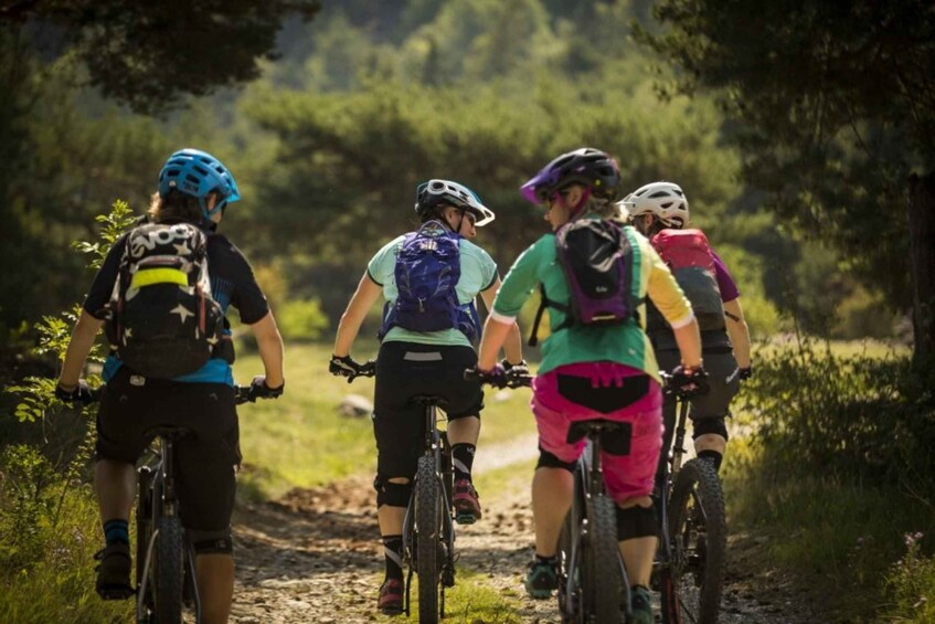 A group of cyclists on a dirt trail surrounded by greenery. 1