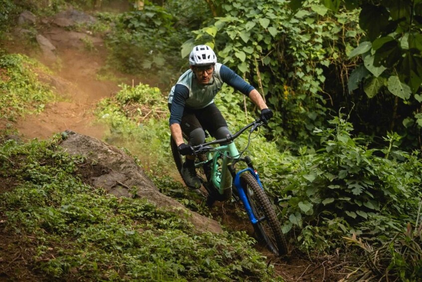A person riding a mountain bike on a dirt trail surrounded by dense greenery. 3