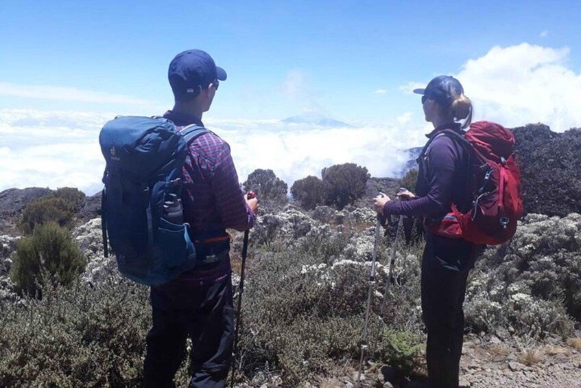 Two hikers with backpacks on a rocky terrain with sparse vegetation and a mountain in the background. 2