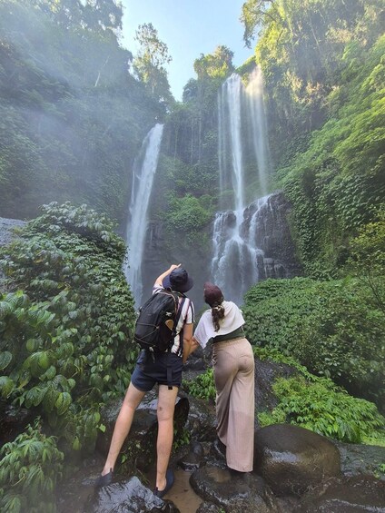 Two people observing a waterfall in a lush, green forest. 5