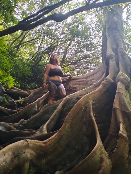 A person standing on a tree's roots in a forest. 2