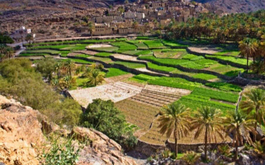 Picture 21 for Activity Top 2-Day Oman Journey: Heritage, Mountain & Hidden Villages 4