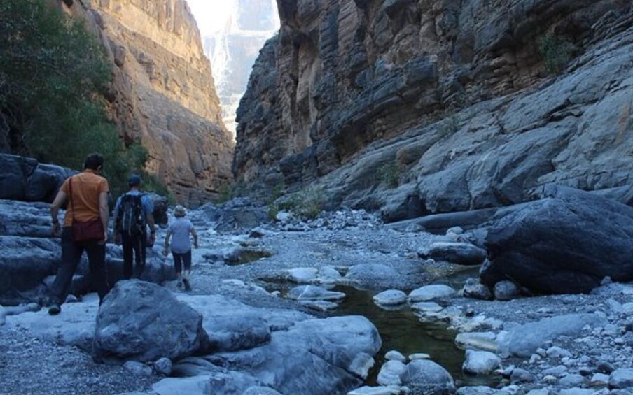 Picture 22 for Activity Top 2-Day Oman Journey: Heritage, Mountain & Hidden Villages 2