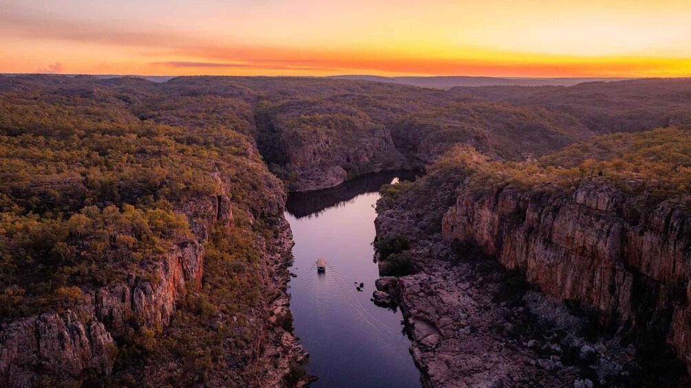 A canyon with a river, surrounded by dense forest. 4