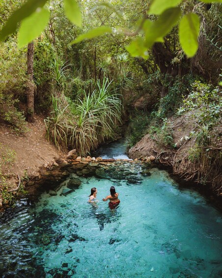 Two people swimming in a clear, natural pool surrounded by dense vegetation. 1