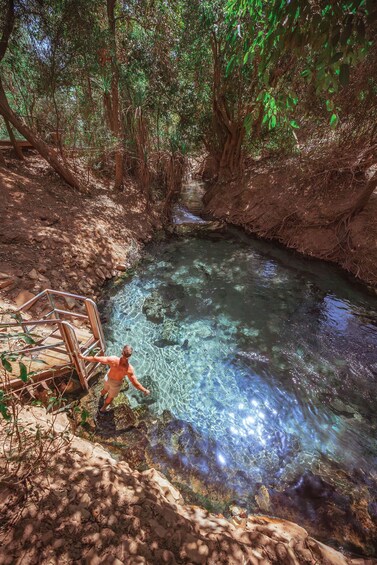 A clear stream surrounded by trees, a wooden staircase, and a person standing by the water. 3