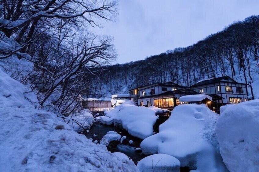Private Luxury Day Tour to Nagano Snow Monkeys and Zenkoji Temple 2