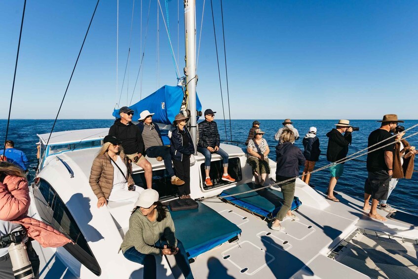 A group of people on a sailboat with a clear blue sky and calm sea. 3