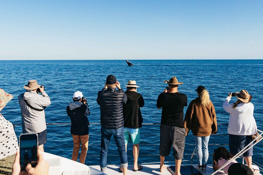 A group of people on a boat, some taking photos, with a whale visible in the distance. 1