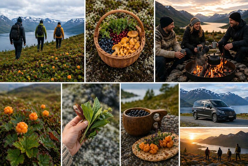 Hikers, a basket of berries, a campfire, a car, and a lake with mountains. 1