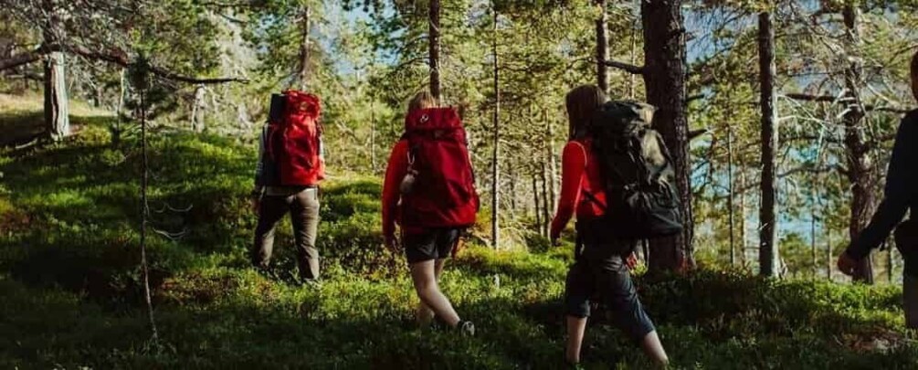 Three people hiking in a forest with backpacks. 5