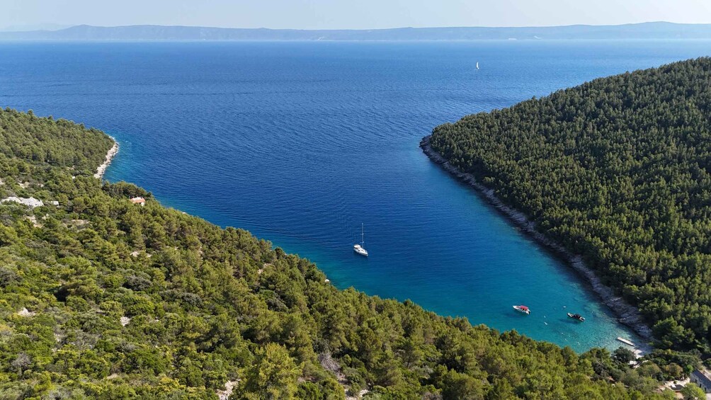 Picture 28 for Activity Makarska: 3-Island Speedboat Full Day Tour Experience 3