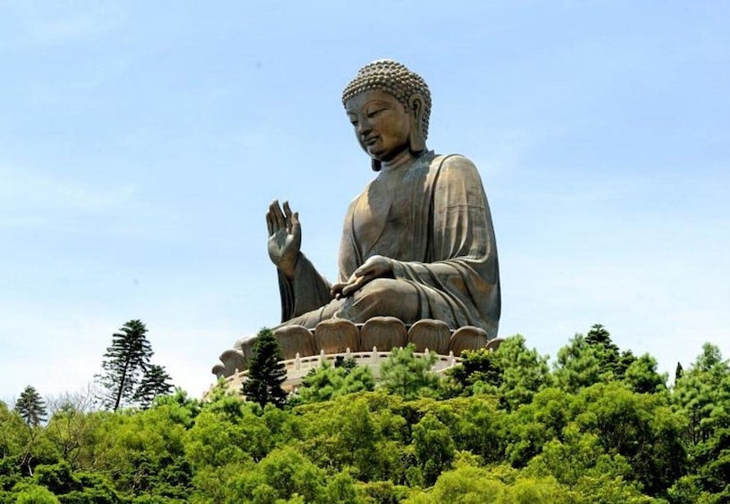 A large seated Buddha statue surrounded by lush greenery. 1