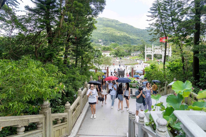 A group of people walking on a bridge surrounded by lush greenery and a traditional gate in the background. 3