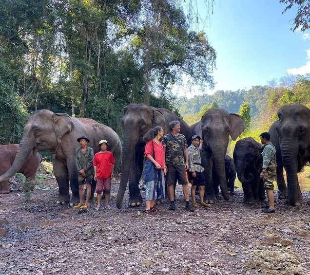 A group of elephants and people in a forested area. 1